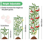 ANPHSIN Sturdy Triangle Tomato Cage with Movable 10 Gal Grow Bags, 3 Sets