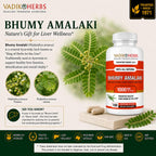 Vadik Herbs Organic Bhumy Amalaki, 100 Caps, Liver Support 1000mg