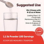 Creatine Monohydrate Powder 500 Grams (1.1 Lb), 5000mg Per Serving, Micronized Creatine Powder, Unflavored, Pure, No Filler, Keto & Vegan, Easy Dissolve Pre Workout* Creatine for Women and Men
