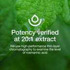 Fresh Nutrition Lemon Balm Extract Capsules.