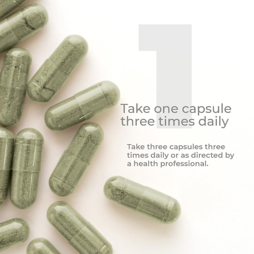Premier Research Labs Hyssinol - Hyssop Herb, Hyssop Capsules, Wellness Pills with Organic Hyssop Dry Herb, Dietary Supplement with Green Tea, Antioxidant Support - 60 Vegetarian Capsules