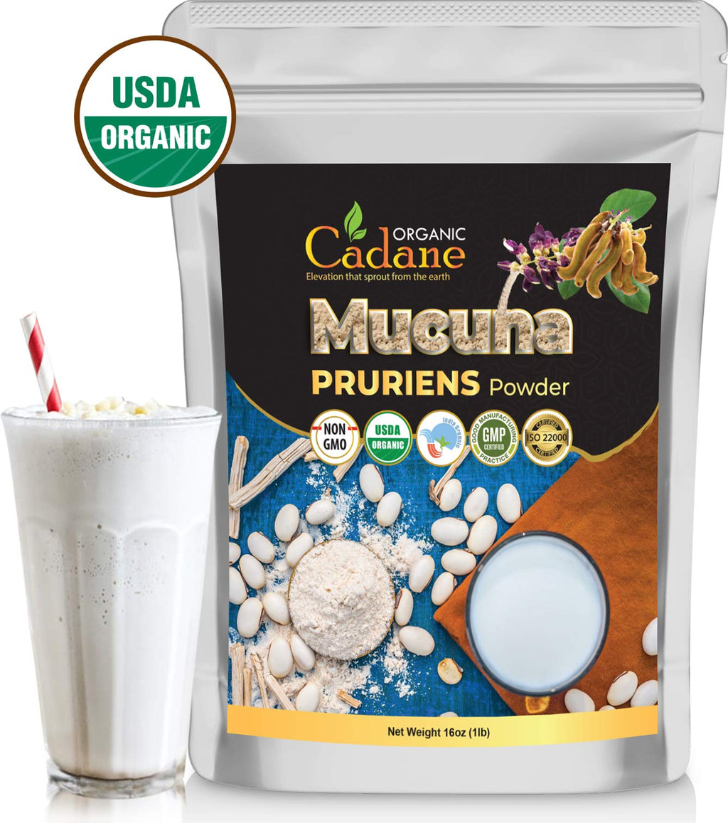 Organic Cadane Mucuna Pruriens Powder 1 Pound | Promotes Brain Health, Supports Immune System, Energy | USDA Certified Vegan-Friendly Supplements | Pure Natural Velvet Beans Extract from India