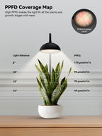 GLOWRIUM Smart Grow Lights for Indoor Plants,Full Spectrum Desk Plant Light
