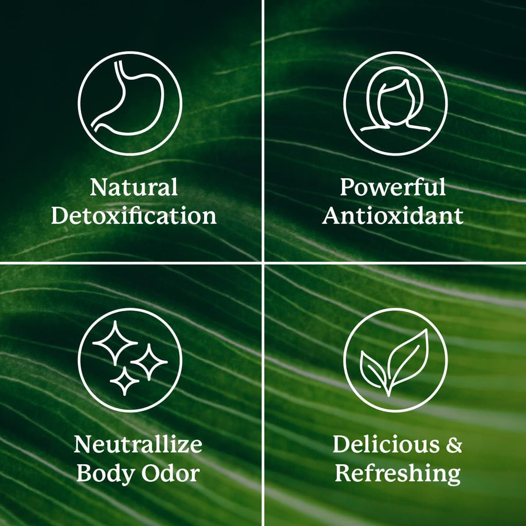 Nature's Sunshine Chlorophyll Stick Packs: Supercharge Your Detox and Boost Gut Health in Convenient, Delicious Stick Packs (Crisp Apple)