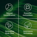 Nature's Sunshine Chlorophyll Stick Packs: Supercharge Your Detox and Boost Gut Health in Convenient, Delicious Stick Packs (Crisp Apple)