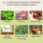 Modern Sprout Hand Pruners+Shears Set w/Blister -Gardening Tools-Chartreuse