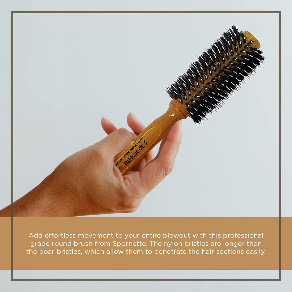 Spornette Porcupine Medium Round Brush#G-36