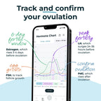 Inito Fertility Test Strips | Pack of 30 | Compatible with Inito Fertility Monitor | Compatible with Both iOS and Android