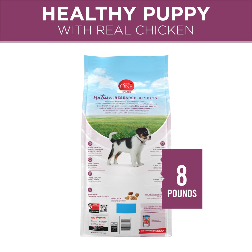 Purina ONE Plus Healthy Puppy Dry Food, Chicken, 8 lb Bag