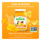 EverSmith Organics - Wildcrafted Irish Sea Moss Gel | Made in USA | Rich in Vitamins & Minerals | Sea Moss Gel Raw | Nutritional Supplement | Mango Pineapple (1 Jar)
