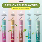 Mullein Pix, Extra Thick Flavored Toothpicks Infused with Mullein Leaf, Natural Quit Smoking Alternative, Lung Cleanse Support, Nicotine Free, Kosher Vegan, Made in The USA (4 Flavors Variety Pack)