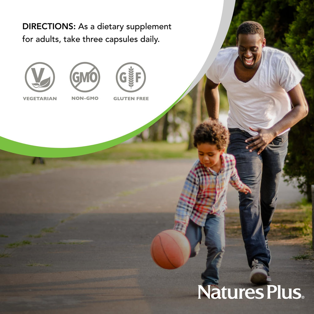 NaturesPlus BrainCeutix Multivitamin Capsules - 90 Capsules - Supports Cognition, Concentration & Clarity - Enhances Memory - Vegan, Gluten Free, Non-GMO - 30 Servings