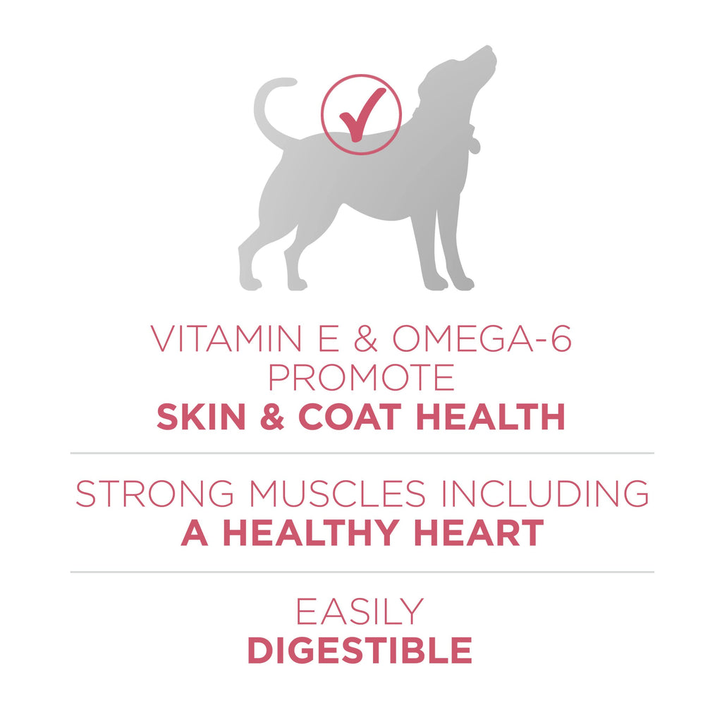 Purina ONE Plus Skin & Coat, Sensitive Stomach Dry Dog Food, 31.1 lb Bag