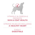 Purina ONE Plus Skin & Coat, Sensitive Stomach Dry Dog Food, 31.1 lb Bag