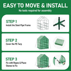 SPECILITE 56×56×78Inch Walk-in Greenhouse for Outdoors Garden Plant, Green