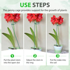 Unves 12 Pack Plant Support Stakes, 36 in Plant Stakes(36 or 24 or 12 Inch)
