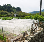 Garden Insect Netting Pest Barrier: 10'x25' Bug Netting for Garden Protection Mosquito Net Fine Mesh Cicada Tree Net Greenhouse Row Cover for Crops Plants Vegetables Flowers Fruits Silver