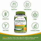 Doctor's Recipes Moringa, Complete Green Superfood, Natural Antioxidant Support, Non-GMO, 240 Vegan Caps, No Caffeine Soy Gluten