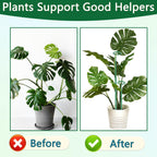 Telescoping Monstera Plant Stakes, 12.5-48.4IN Indoor Plant Support- 7Pack
