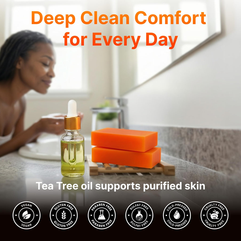 BIOXI Persimmon & Tea Tree Oil Deodorizer Soap Bar Odor Control & Gentle Exfoliation Body Wash for Mature or Aging Skin Korean Cold-Pressed Formula with Chamomile, Aloe Vera & Coconut Oil - 2 Pack