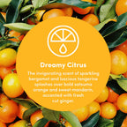 Clean Revolution Multi Surface Cleaner Refill Supply, Non-Toxic, Eco-Friendly & Plant-Based, Ready to Use, Dreamy Citrus, 128 Fl Oz (1 Gallon)