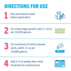 Leslie's Algae Preventative - Non-Staining Algae Control for Swimming Pools, Spas, and Hot Tubs - 1 Gallon