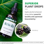 Nutramedix Nutra BBS - Liquid Herbal Supplement for Digestive & Immune Support - Elecampane Root & BlackBerry Leaves Extract for Gut Health - Immunity Booster Supplement (60mL)