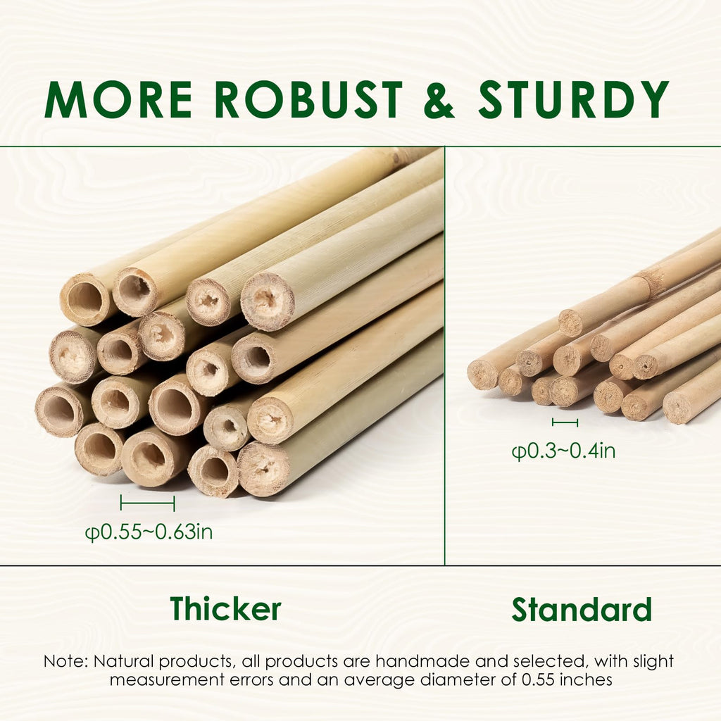Cambaverd Bamboo Stakes 4ft, Thicker Plant Stakes with Garden Twine,20 Pack