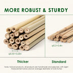Cambaverd Bamboo Stakes 4ft, Thicker Plant Stakes with Garden Twine,20 Pack