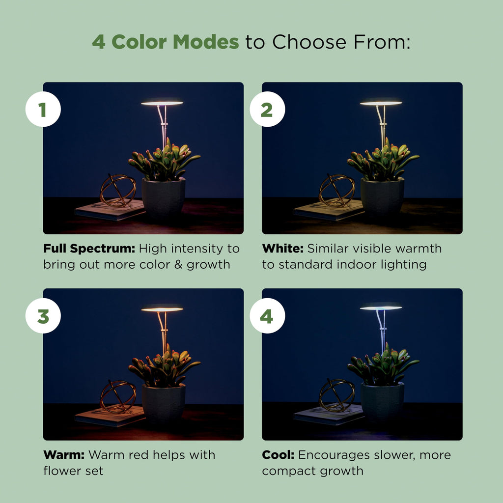 AeroGarden Stem Grow Light, Cream