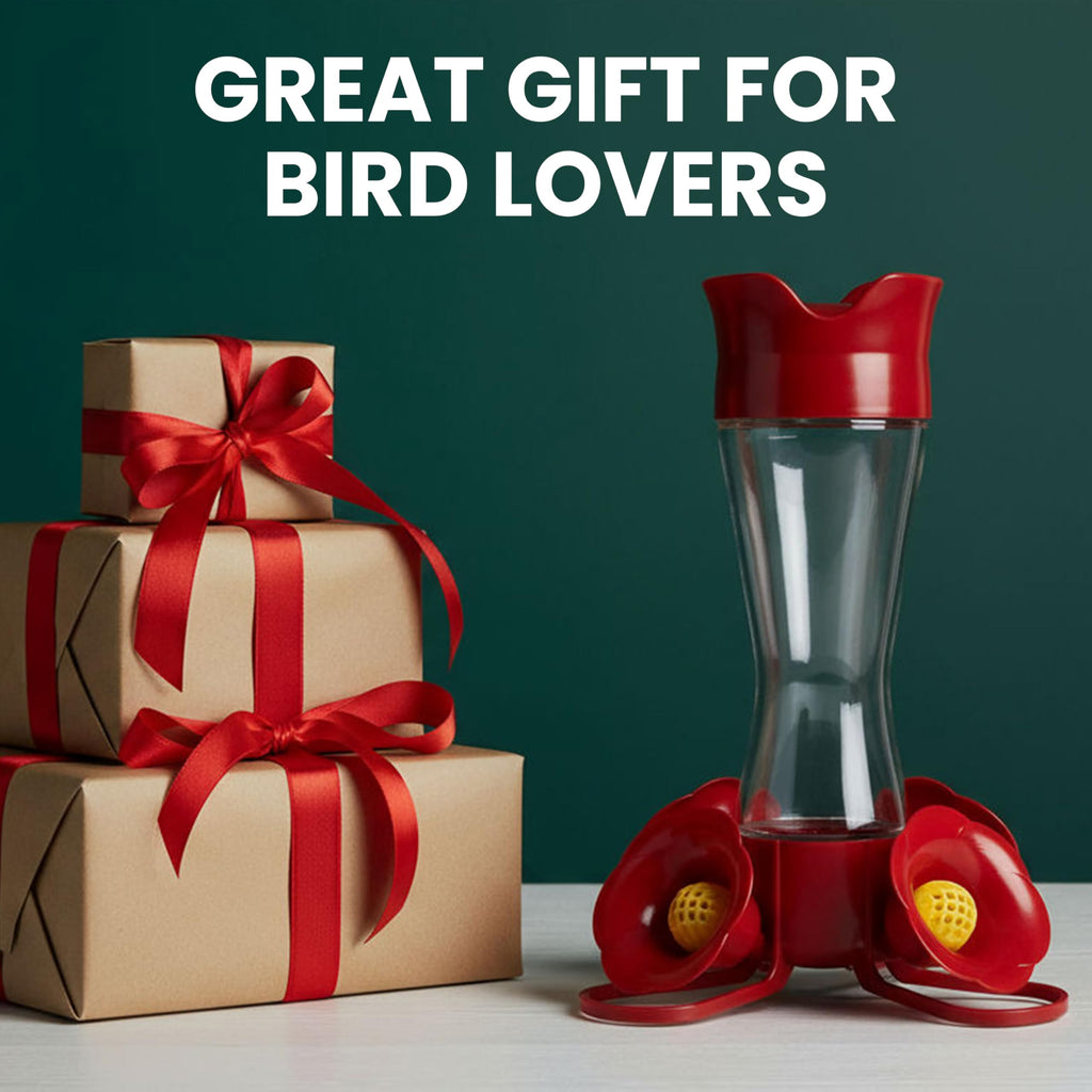 Perky-Pet Glass Hummingbird Feeders for Outdoors, 8 oz Nectar Capacity
