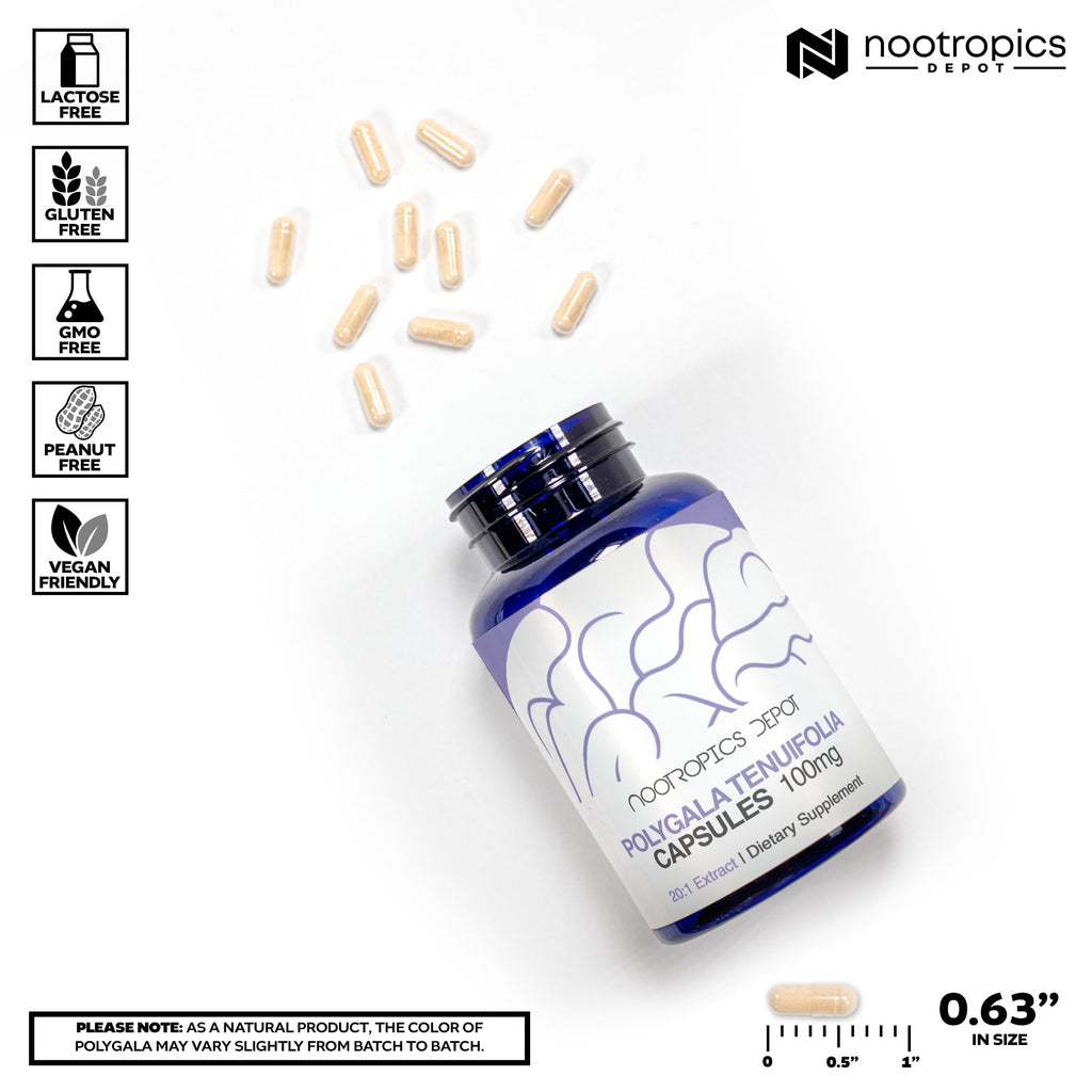 Nootropics Depot Polygala tenuifolia Capsules | 100mg | 180 Count | 20:1 Extract | Yuan Zhi | Promotes Cognitive Function, Learning and Memory | Supports Healthy Stress Levels | Adaptogen Supplement