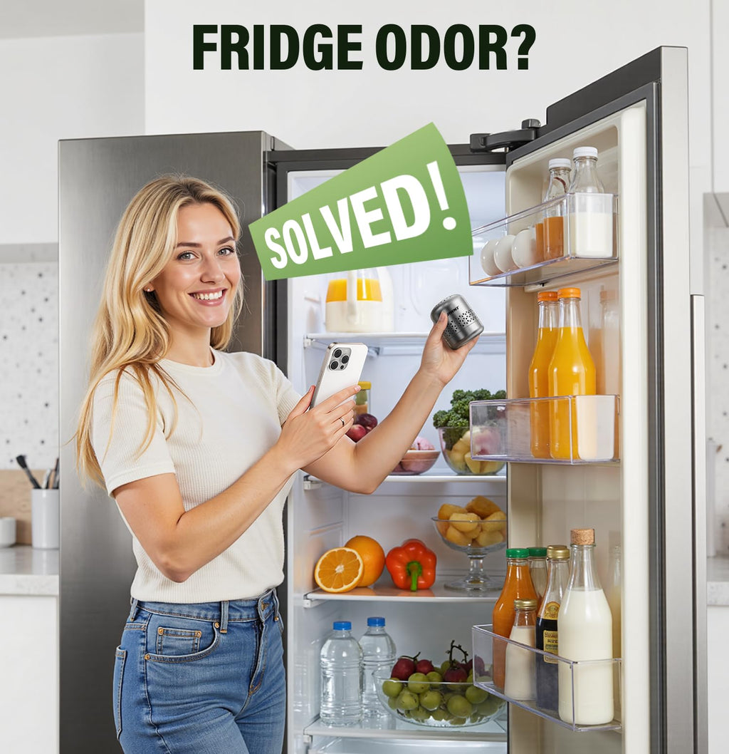 FLAWNT Fridge Deodorizer, 10-Year Odor Eliminator for Refrigerator, No Refills or Fragrance, More Effective Than Charcoal Air Purifiers-Space Grey