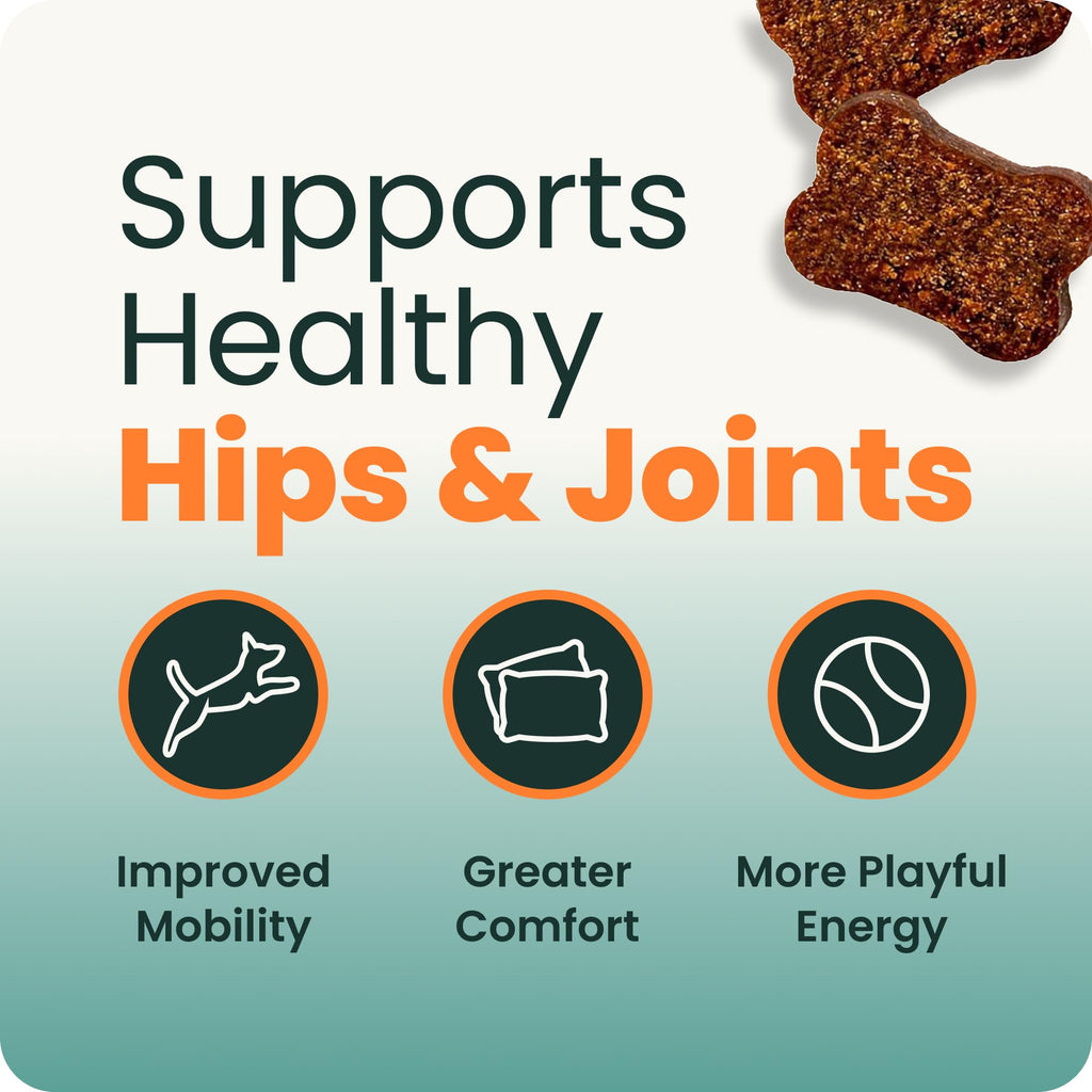 VetriScience Extra Strength Healthy Hip & Joint for Dogs, Chicken, 120ct