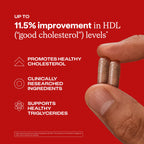 Humann Cholesterol Health Daily, Cholesterol & Lipid Support Supplement, Citrus Bergamot and Aged Black Garlic, 60 Capsules