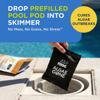 FROG Algae Gone - Dry Formula Algaecide Removes Green and Yellow Algae for In-Ground & Above-Ground Pools up to 30,000 Gallons - Chemical Pool Maintenance & Treatment - 3 Pods