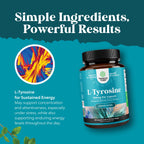 Free Form L Tyrosine 500mg Capsules - High Strength L-Tyrosine Supplement for Mental Energy and Focus Support - Amino Acid Nootropic Supplement for Mood Focus Attention and Cognitive Performance