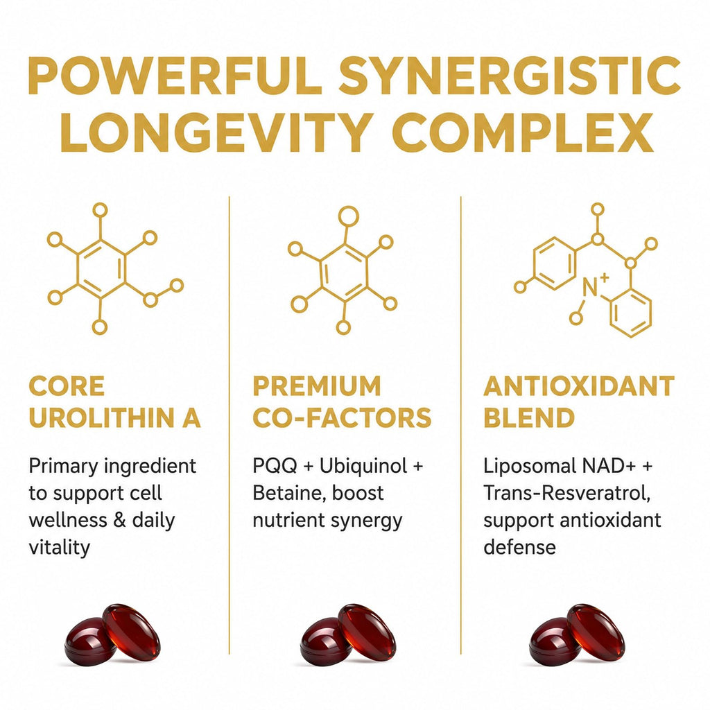 Urolithin A Supplement 2500mg with NAD+, Resveratrol, CoQ10 & PQQ, High Potency 5-in-1 Longevity Formula, Mitochondrial Support for Healthy Aging, Energy & Muscle Strength, 120 Softgels