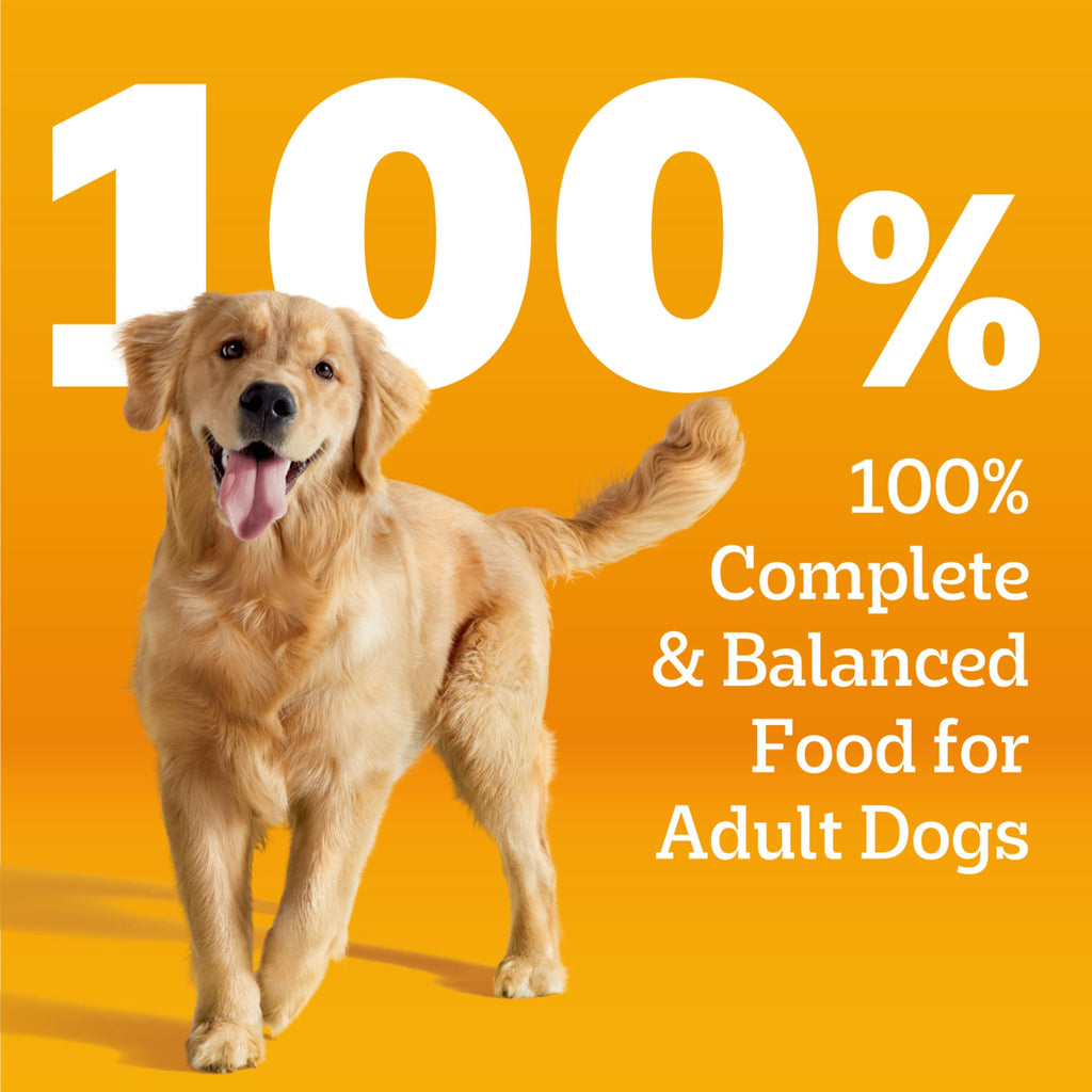 Pedigree Choice Cuts Wet Dog Food, Prime Rib & Chicken, 13.2 oz, 12 count