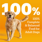 Pedigree Choice Cuts Wet Dog Food, Prime Rib & Chicken, 13.2 oz, 12 count