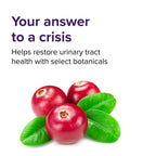 Vibrant Health, U.T. Vibrance Powder, Crisis Intervention for Urinary Tract Health, 10 Servings