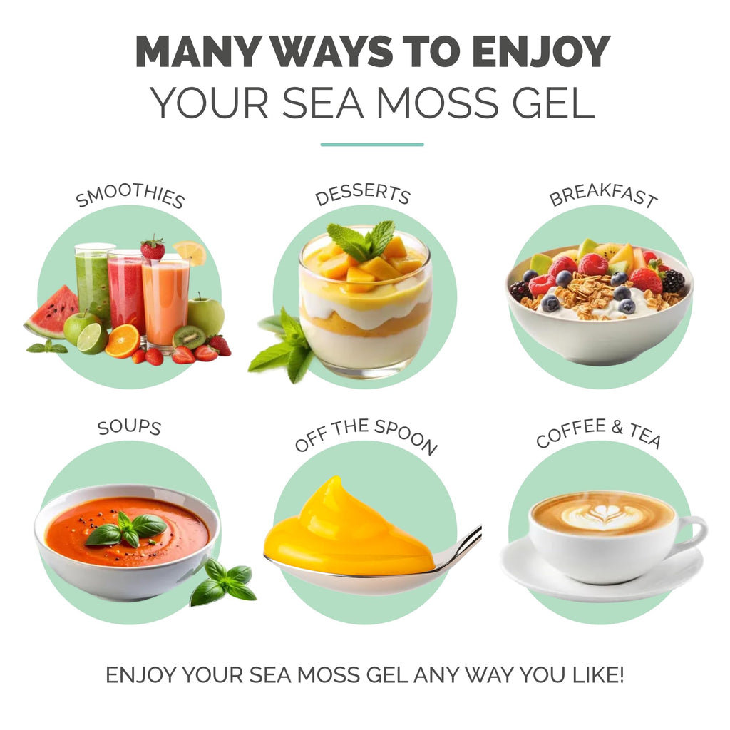 EverSmith Organics - Wildcrafted Irish Sea Moss Gel | Made in USA | Rich in Vitamins & Minerals | Sea Moss Gel Raw | Nutritional Supplement | Mango Pineapple (1 Jar)