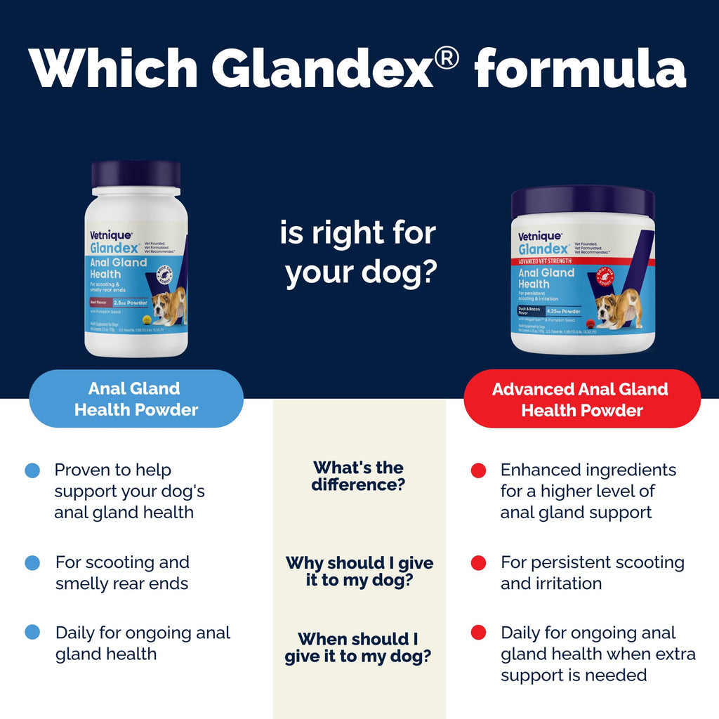 Vetnique Glandex for Dogs Anal Glands Supplement Powder Digestive Health with Fiber, Pumpkin, Digestive Enzymes & Dog Probiotics - Boot the Scoot (2.5oz Powder, Beef Liver)