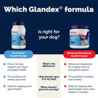 Vetnique Glandex for Dogs Anal Glands Supplement Powder Digestive Health with Fiber, Pumpkin, Digestive Enzymes & Dog Probiotics - Boot the Scoot (2.5oz Powder, Beef Liver)