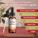 Catfit Soursop Graviola Liquid Drop – Soursop Bitters Liquid Drops with Sea Moss, Turmeric & Zinc, for Cell Support, Antioxidant, Relaxation & Immune Boost, Strawberry Flavor, 2 Fl Oz