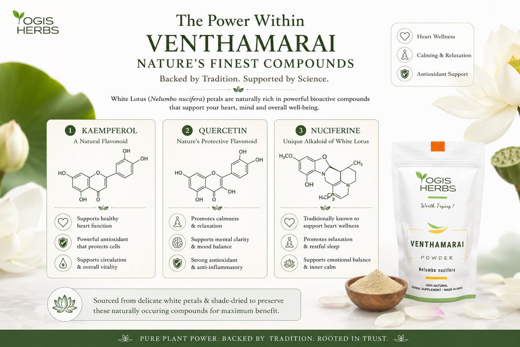 YOGIS HERBS Venthamarai Powder, White Lotus (Nelumbo Nucifera/Sacred Lotus/Padma) - Traditional Tamil Siddha Herb for Heart Wellness, Supports Calm Mind & Restful Sleep - Pure Petal Powder