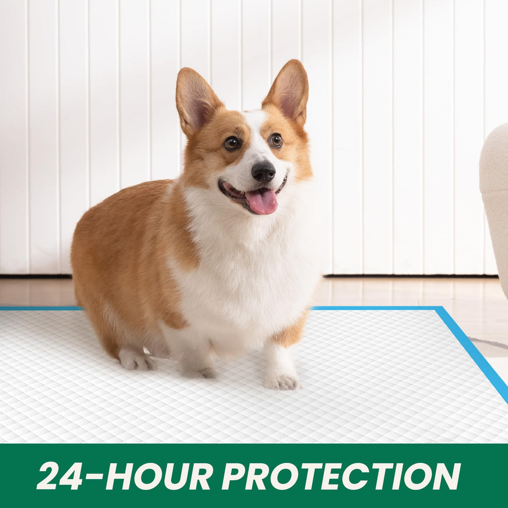 100 Count Large Dog & Cat Puppy Pee Pads - 28"x30" Absorbent Potty Training Pads | Leakproof Quick-Dry Disposable Pet Pads for Puppies, Dogs & Cats | Indoor, Outdoor, Litter Box, Housebreaking Use