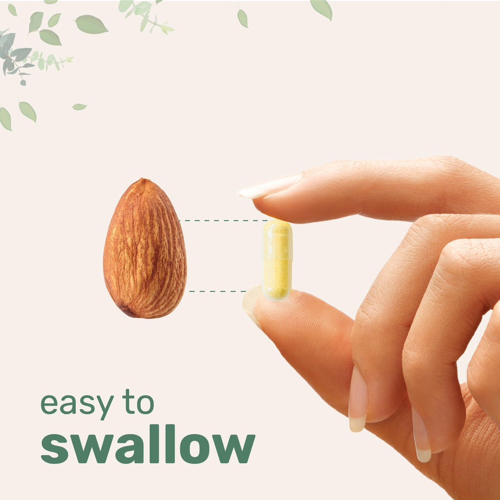 Micro Ingredients Saffron+ Advanced Supplements, 60 Veggie Capsules – 10-in-1 with Saffron Extract, High Absorption Fat-Soluble Vitamin C, Magnesium, Turmeric & KSM-66 Ashwagandha – Filler Free