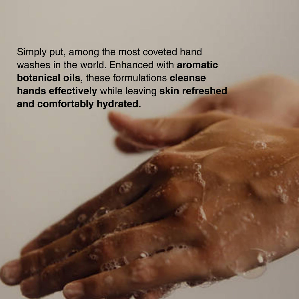 Aesop Resurrection & Reverence Aromatique Hand Wash Set – Nourishing Hand Wash & Gentle Exfoliating Hand Soap Duo | Botanical Cleansers Made with Hydrating Essential Oil Blend | 16.9 oz Each (2 Pack)