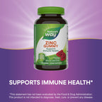 Nature's Way Zinc Gummies, Adult & Kids 9+ Immune Support Gummies*, 100% Daily Value per Serving, Mixed Berry Flavor, 120 Chews (Set of 2)